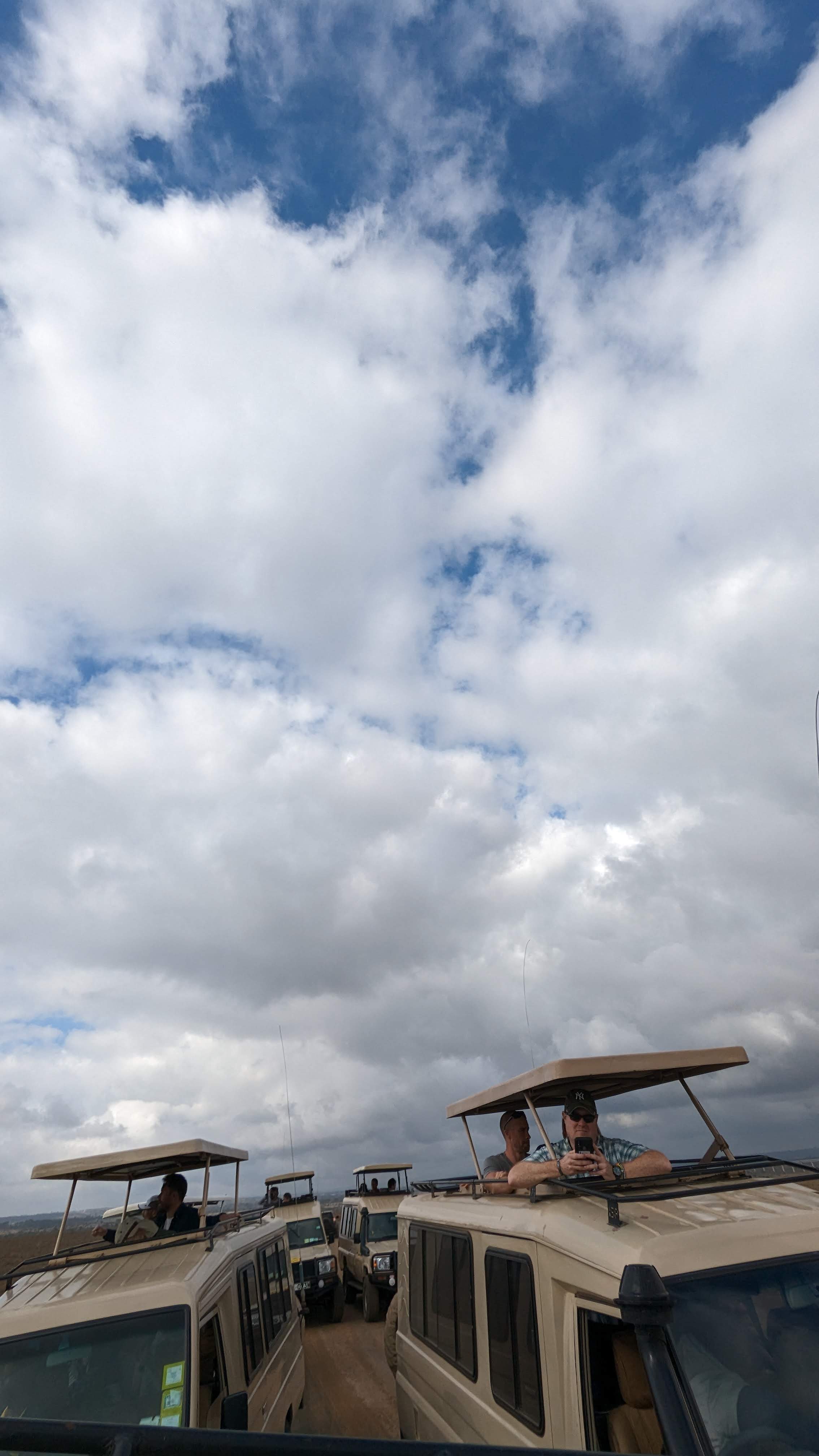 Safari guide sharing knowledge with guests in the African bush